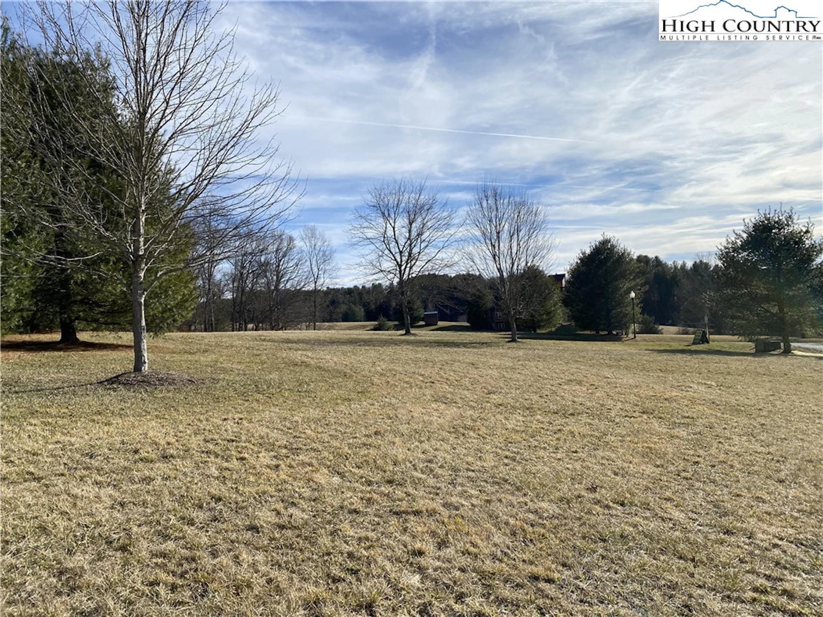 Image number 4 for the current listing