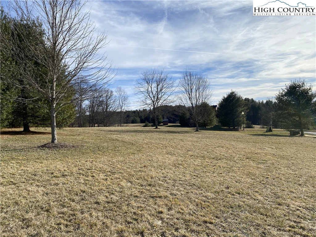 Image number 4 for the current listing