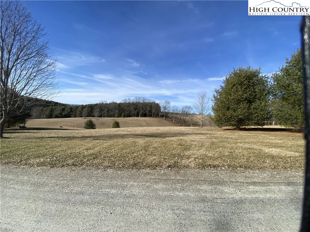 Image number 5 for the current listing
