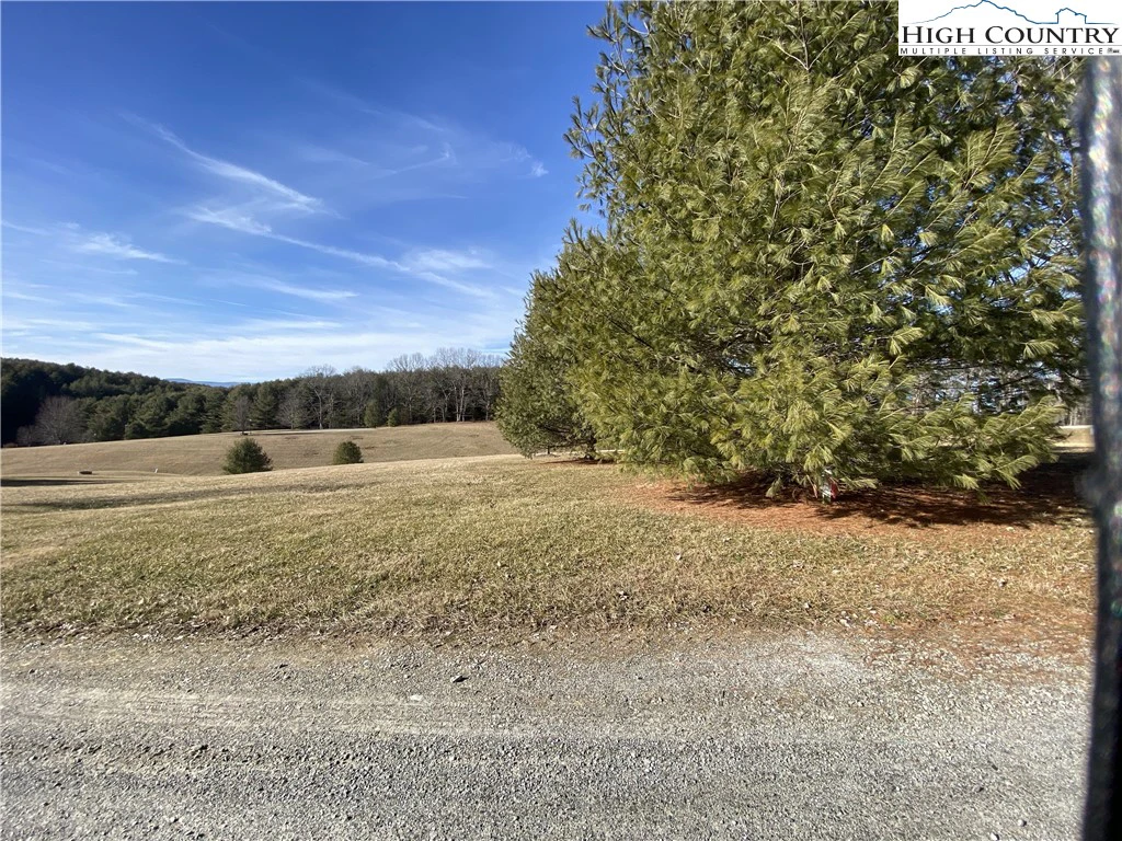 Image number 6 for the current listing