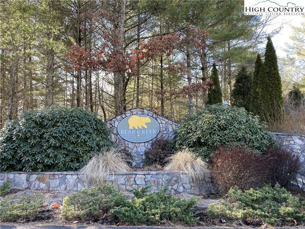 Image number 8 for the current listing