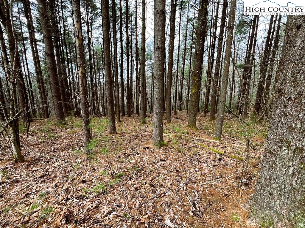 Image number 3 for the current listing