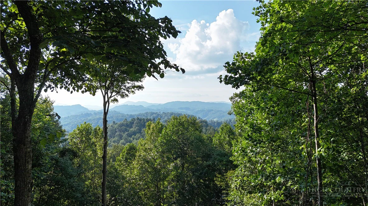 Image number 1 for the current listing