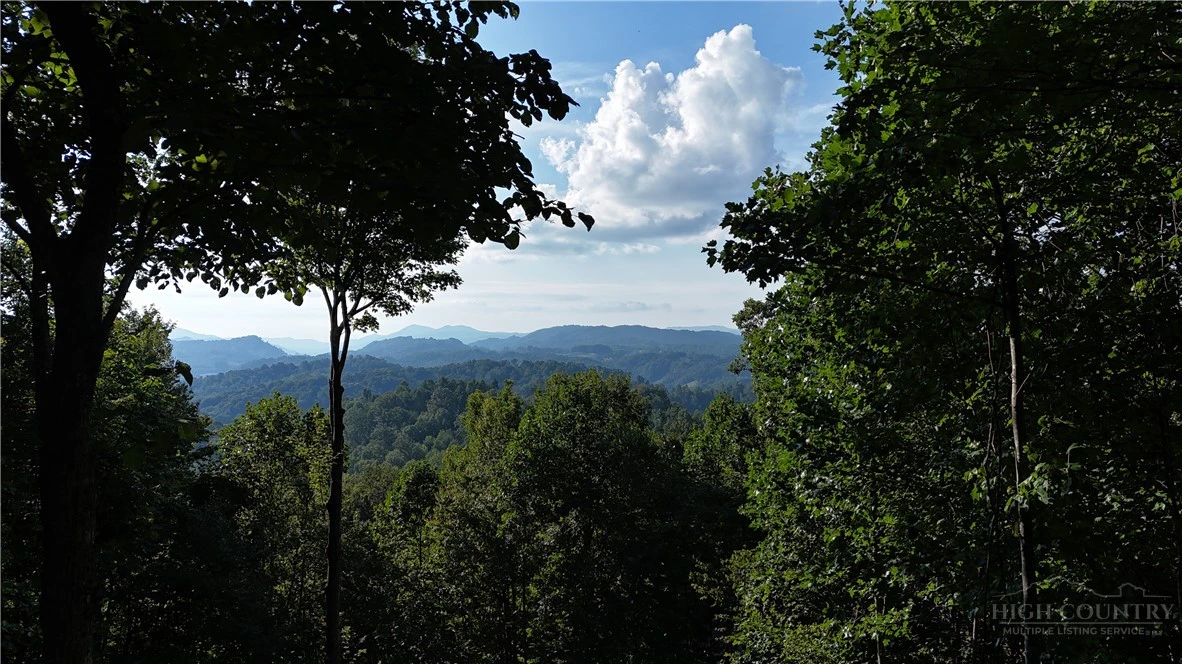 Image number 2 for the current listing