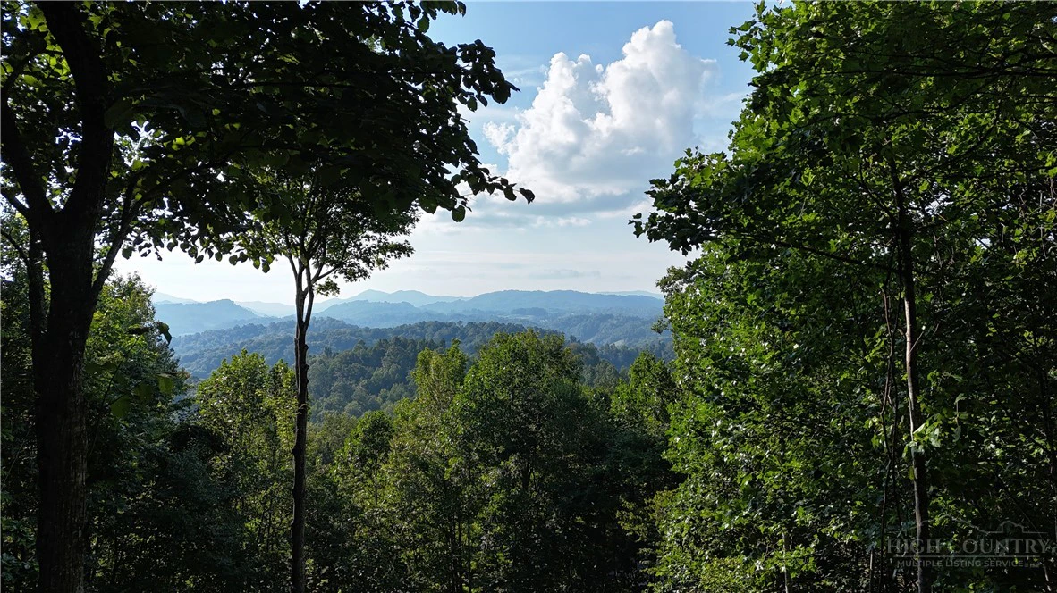 Image number 3 for the current listing