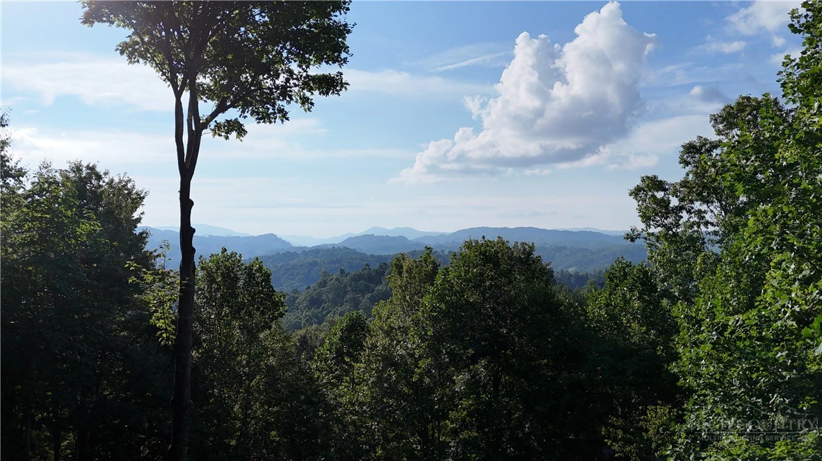 Image number 4 for the current listing