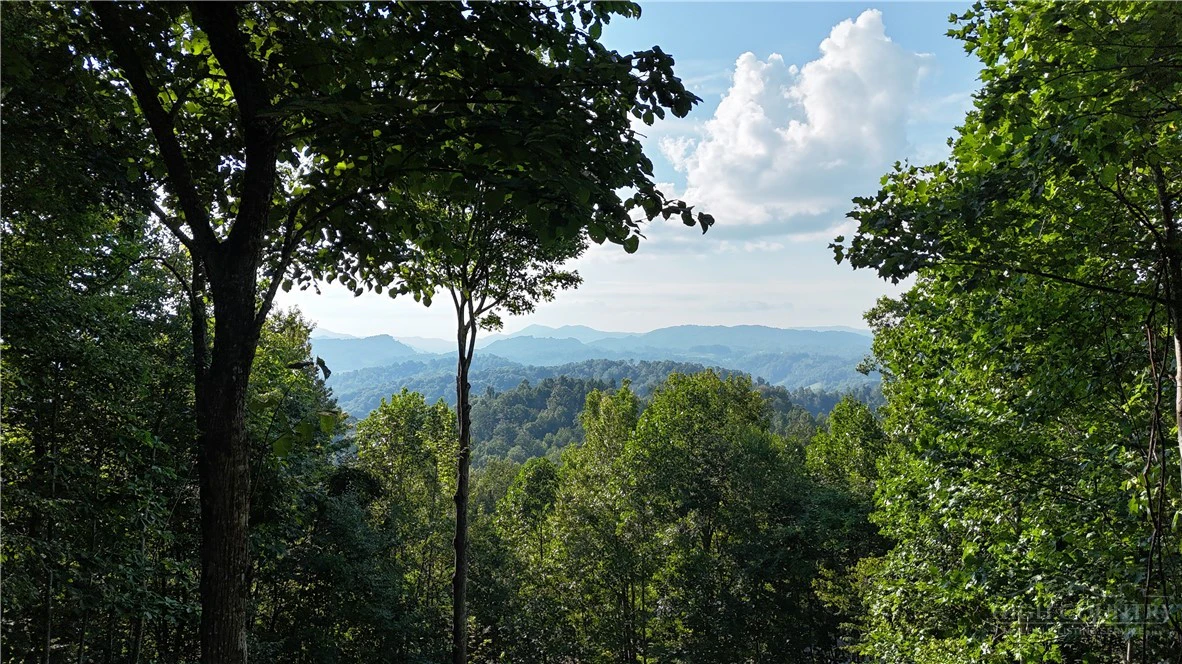 Image number 5 for the current listing