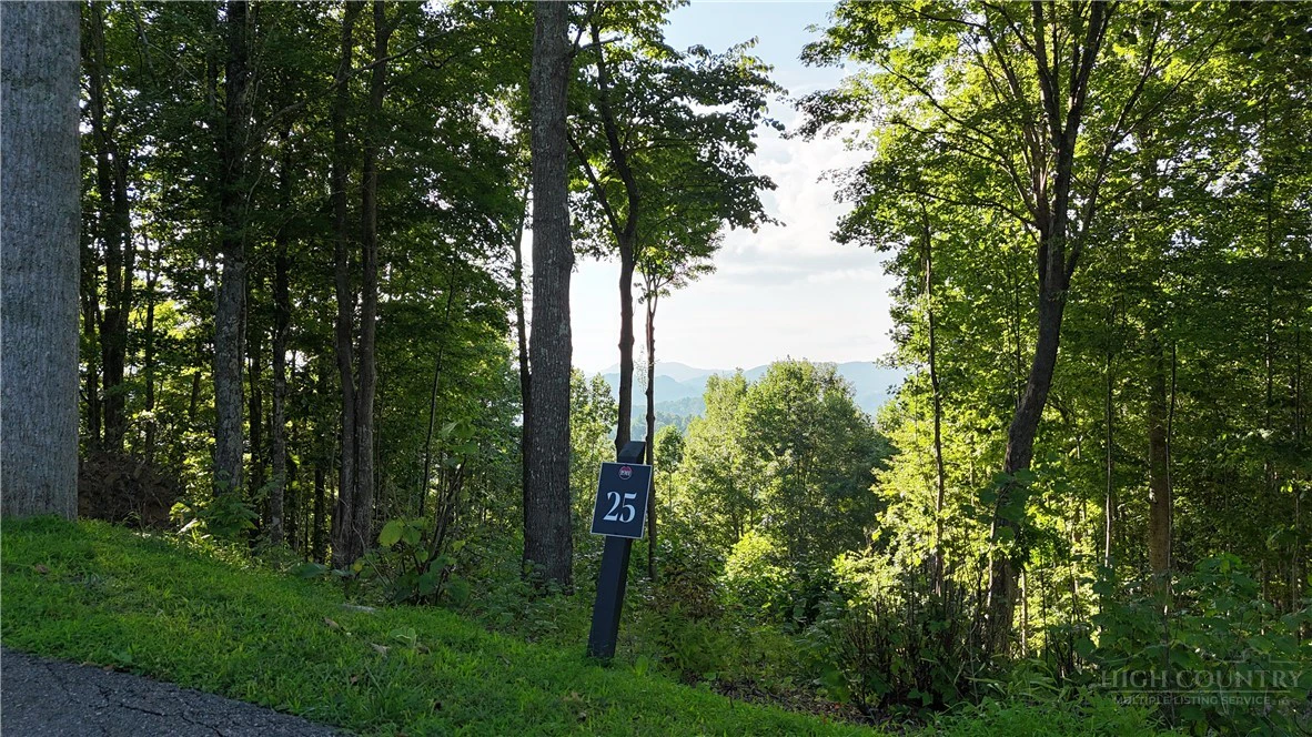 Image number 6 for the current listing