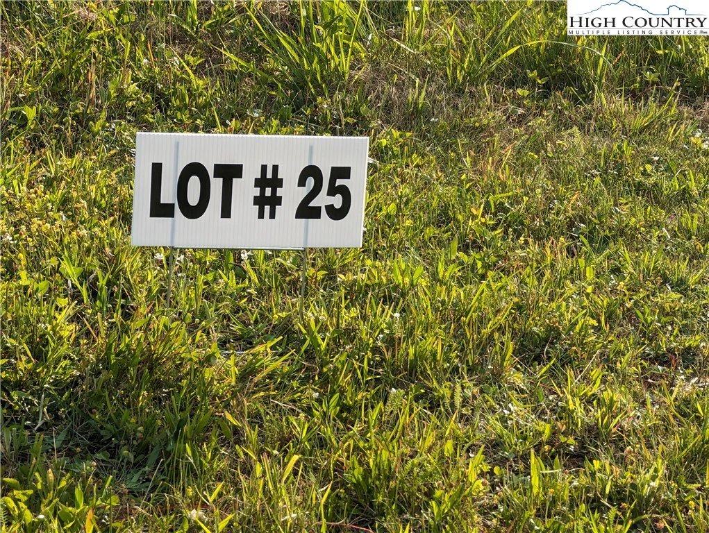 Image number 1 for the current listing