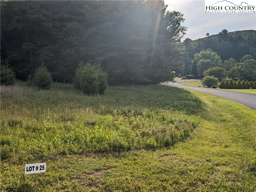 Image number 2 for the current listing