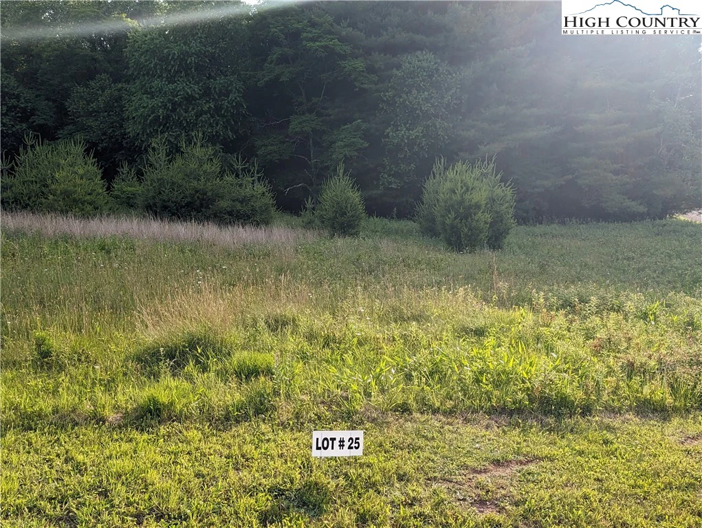 Image number 3 for the current listing