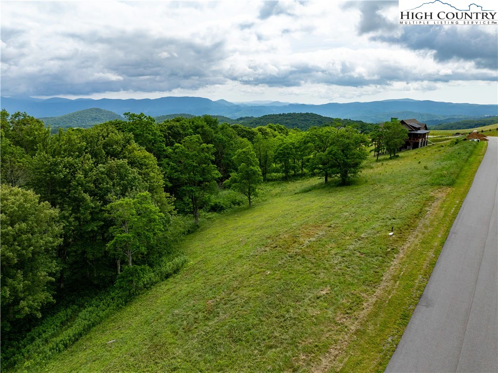 Image number 1 for the current listing