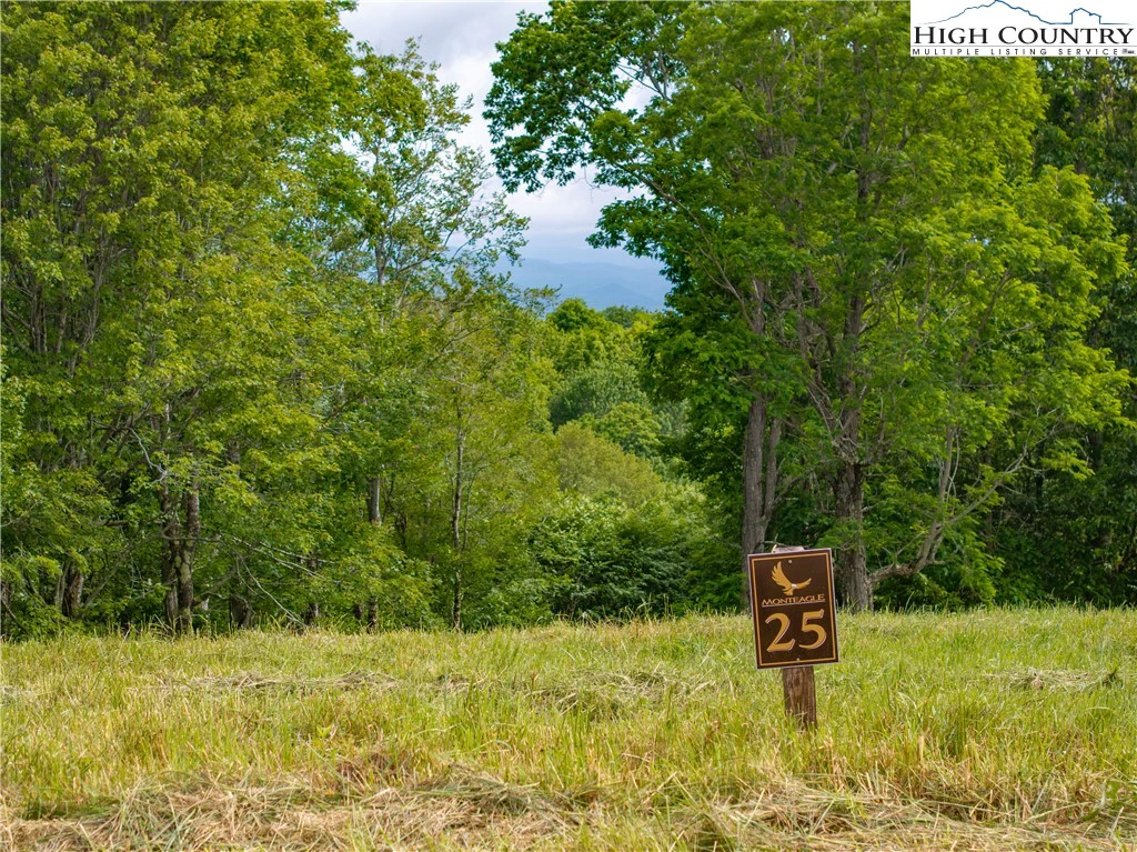 Image number 3 for the current listing