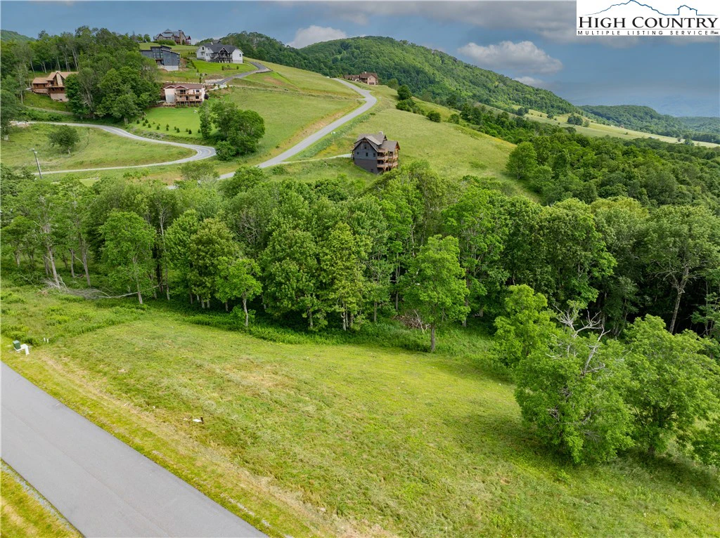 Image number 4 for the current listing