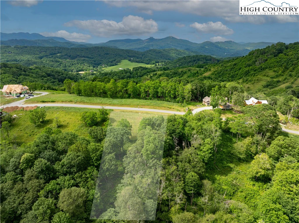 Image number 7 for the current listing