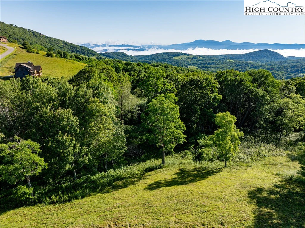 Image number 9 for the current listing