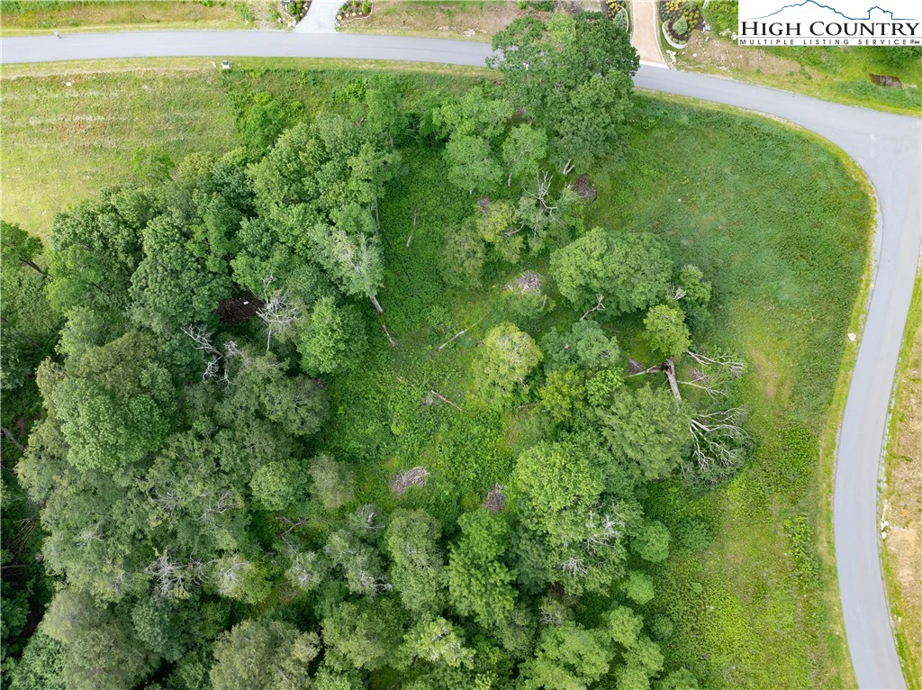 Image number 11 for the current listing