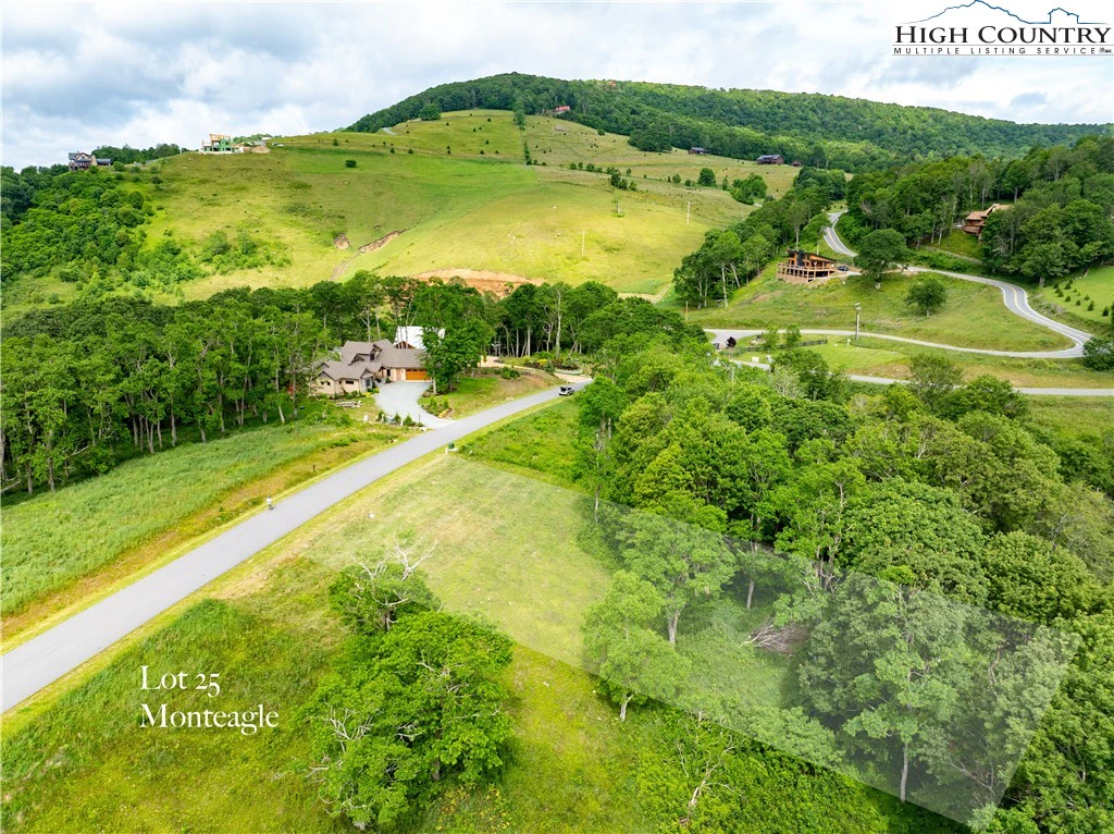 Image number 12 for the current listing