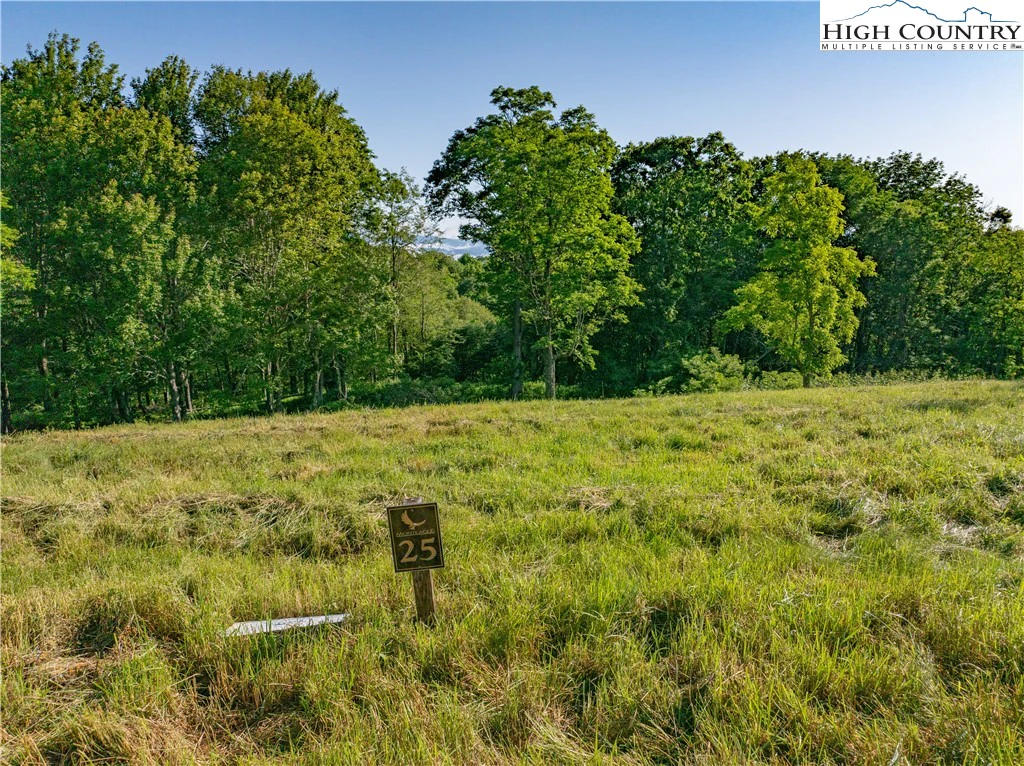 Image number 13 for the current listing