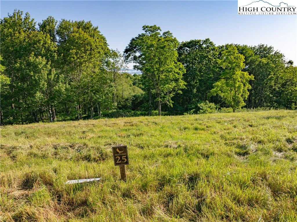 Image number 14 for the current listing