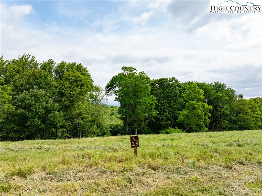 Image number 15 for the current listing