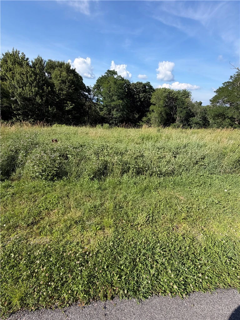 Image number 9 for the current listing