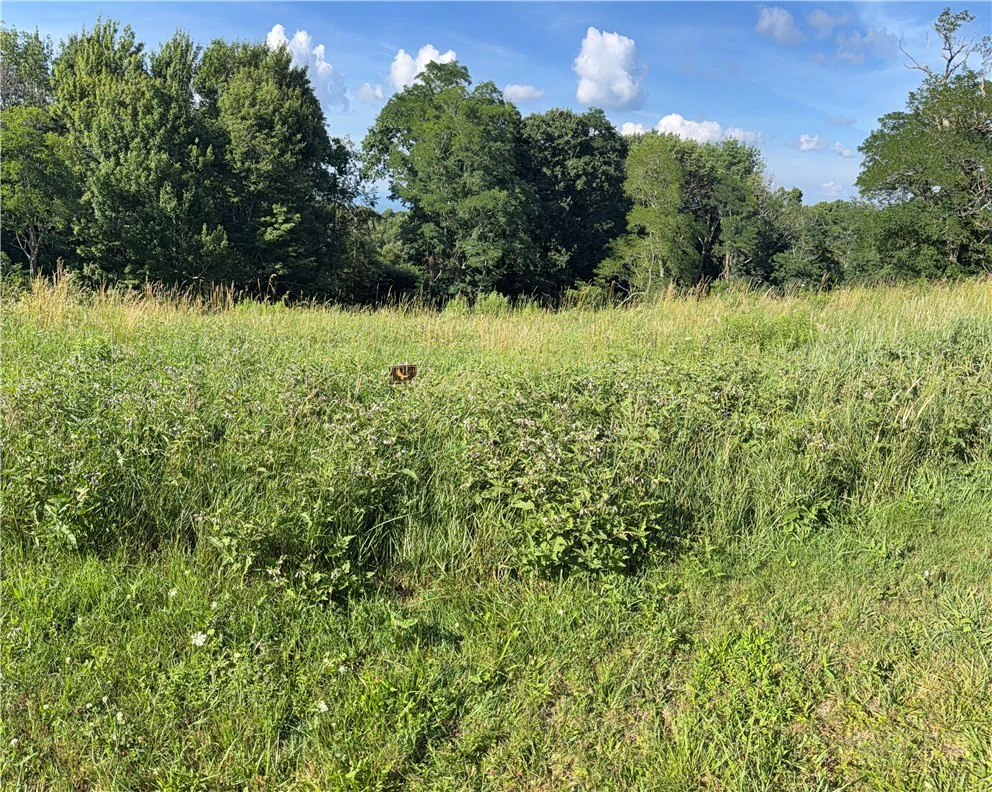 Image number 11 for the current listing