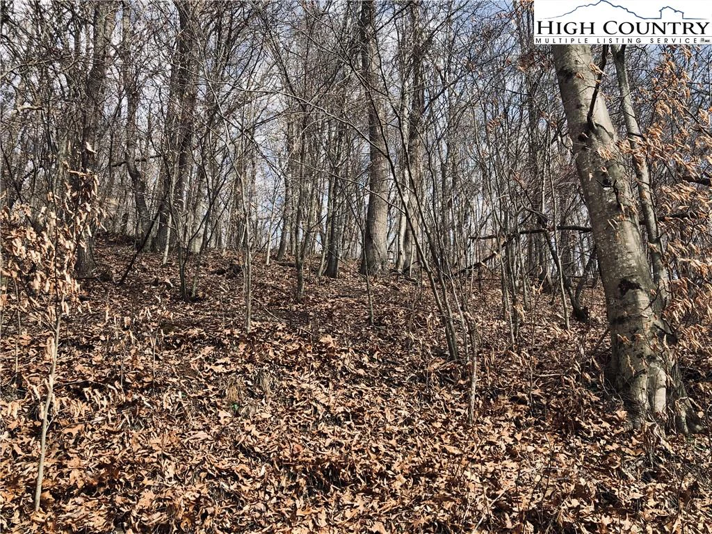 Image number 1 for the current listing
