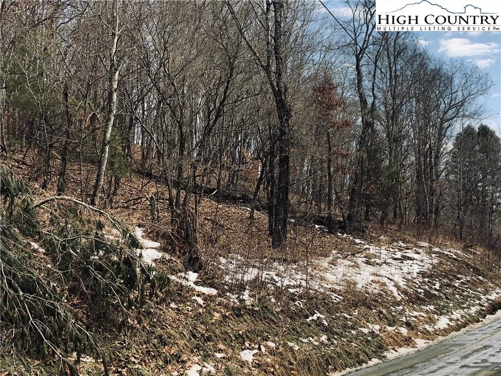 Image number 5 for the current listing