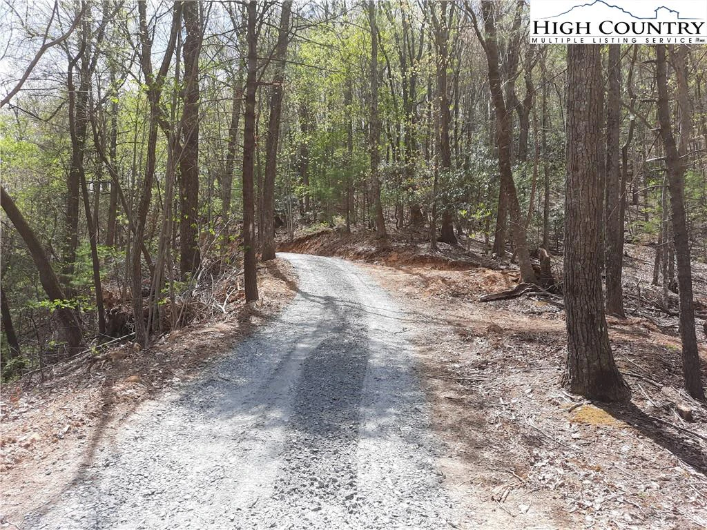 Image number 3 for the current listing