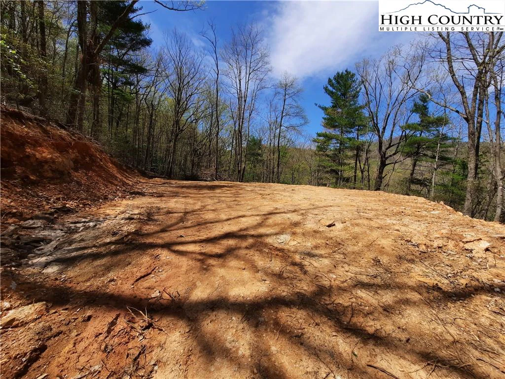 Image number 6 for the current listing