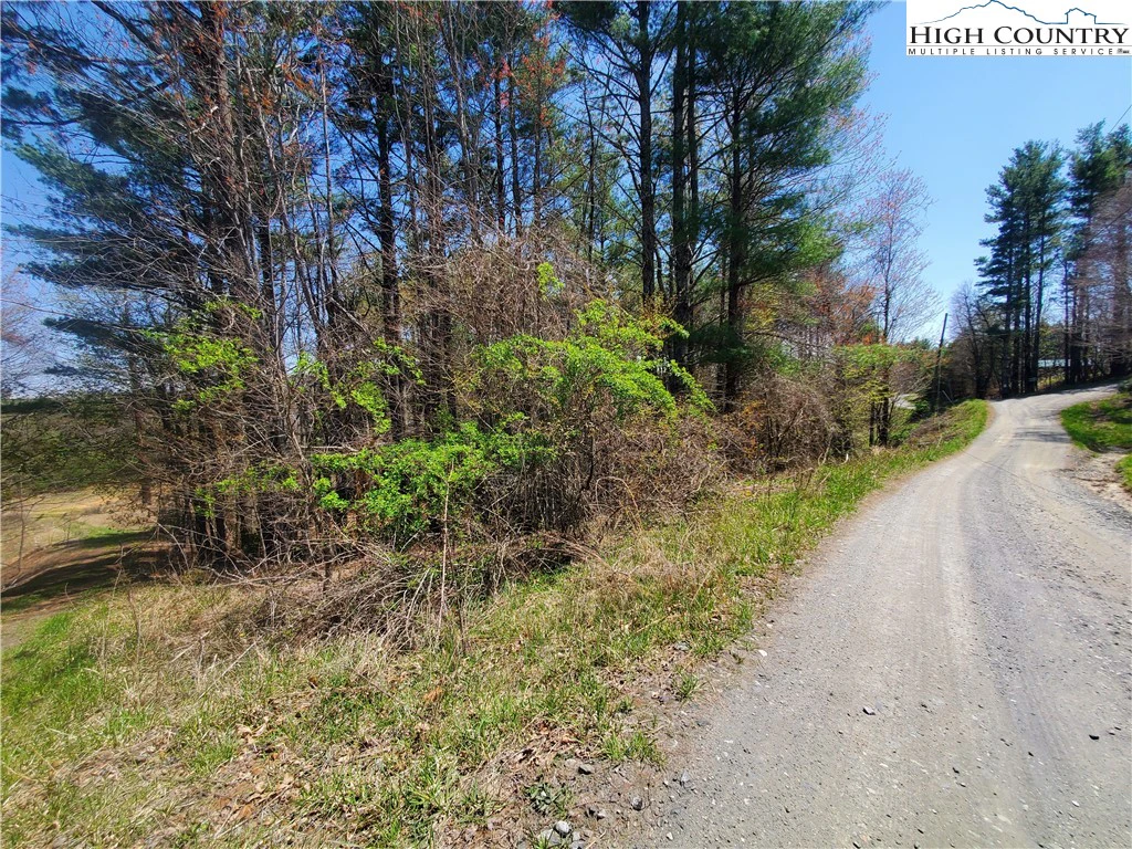 Image number 1 for the current listing