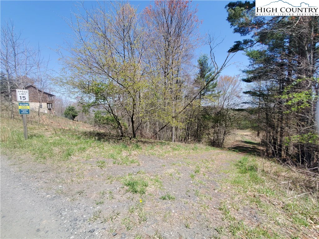 Image number 11 for the current listing