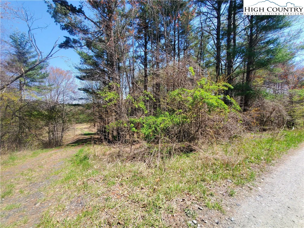 Image number 2 for the current listing