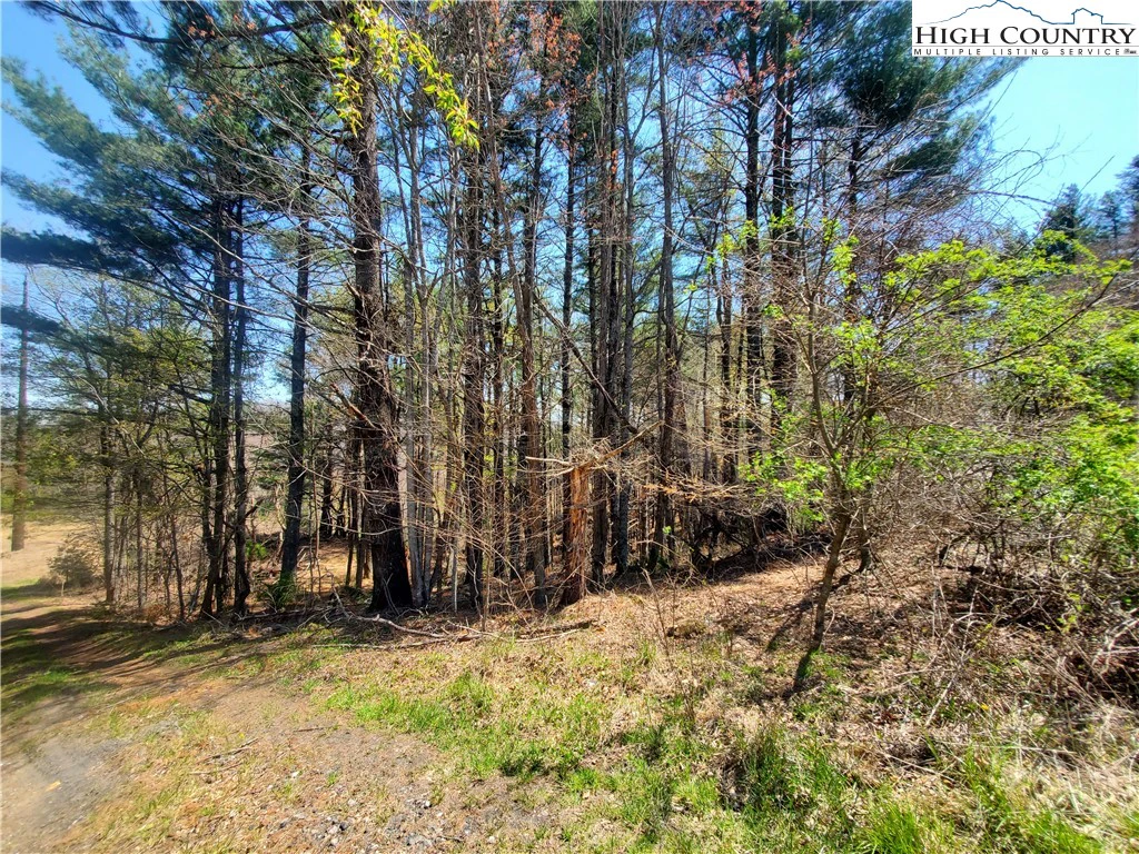 Image number 10 for the current listing