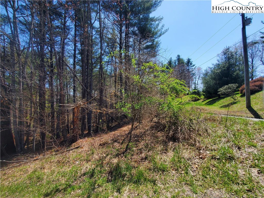 Image number 9 for the current listing