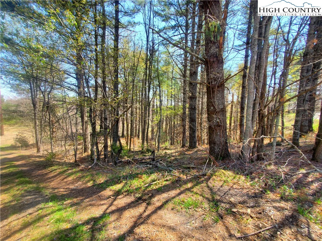 Image number 8 for the current listing
