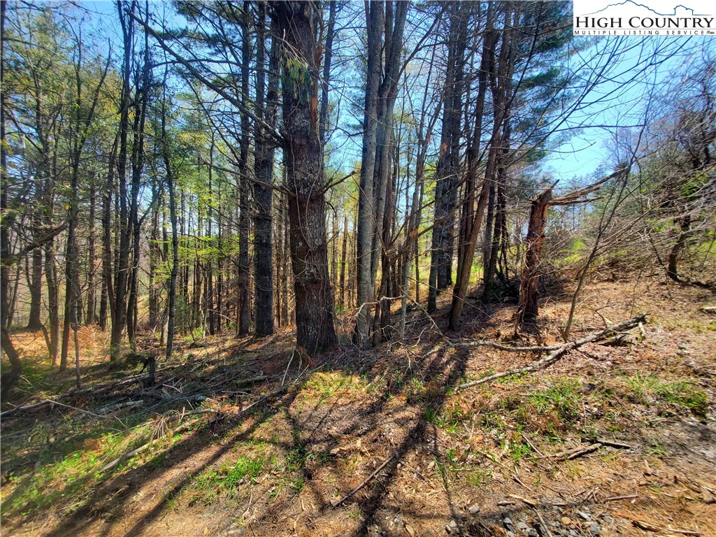 Image number 7 for the current listing