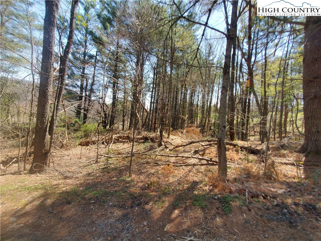 Image number 6 for the current listing