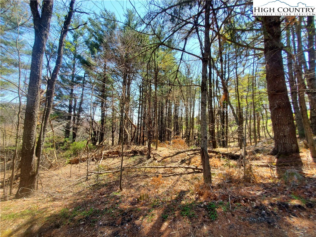 Image number 5 for the current listing