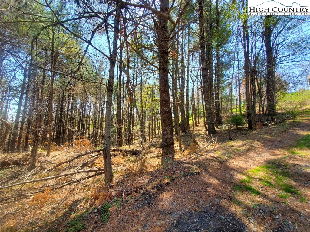 Image number 4 for the current listing