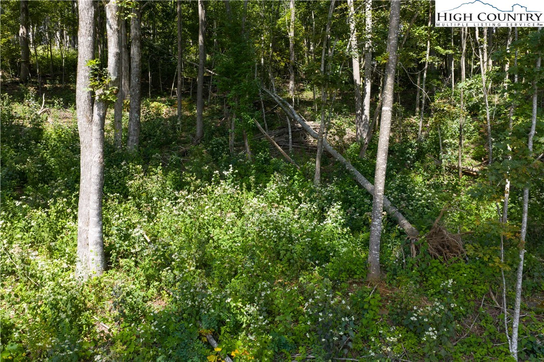Image number 5 for the current listing