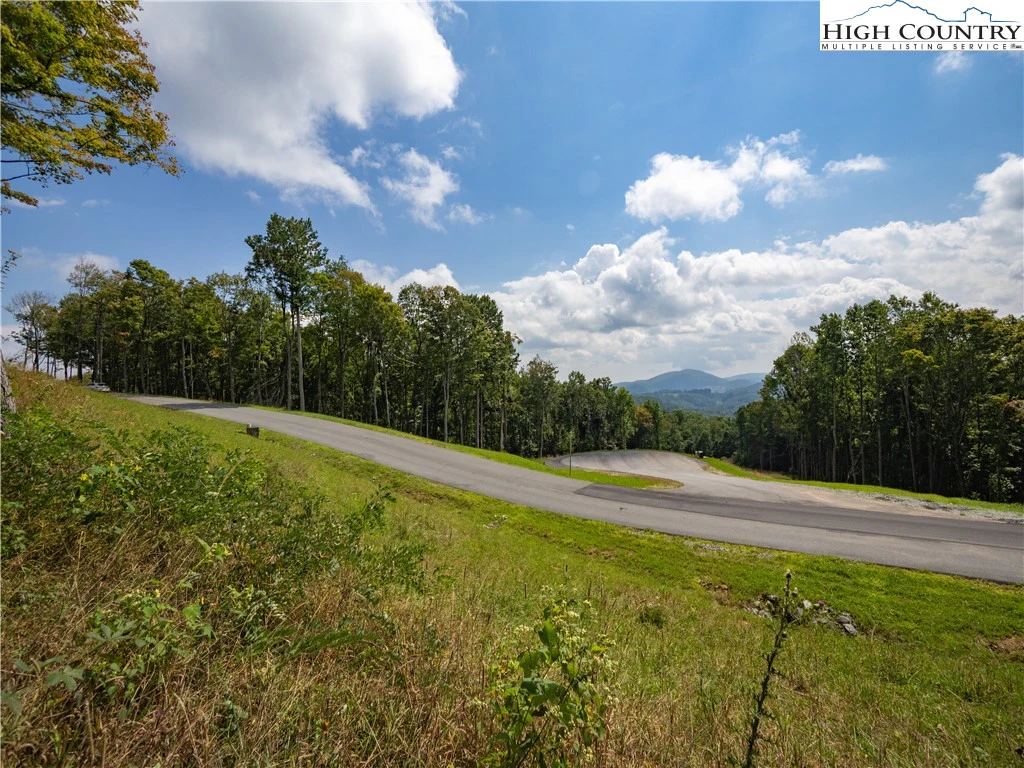 Image number 1 for the current listing