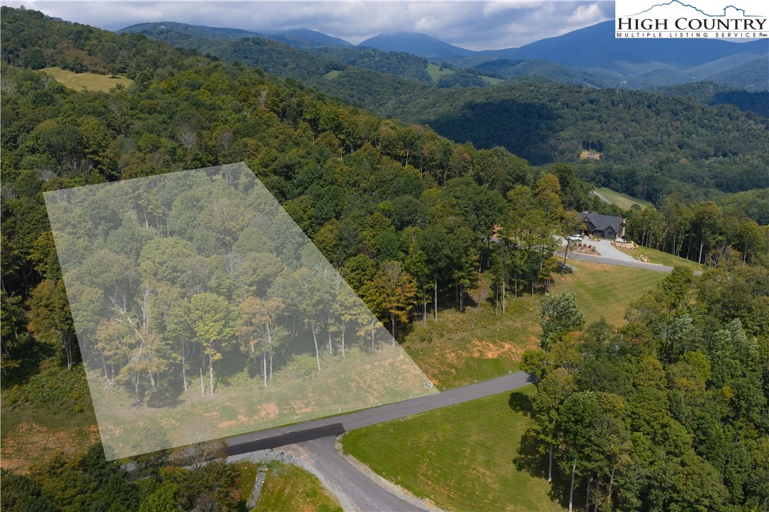 Image number 2 for the current listing