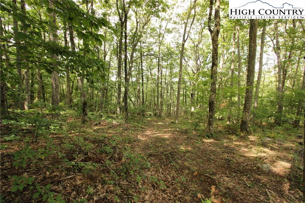 Image number 1 for the current listing