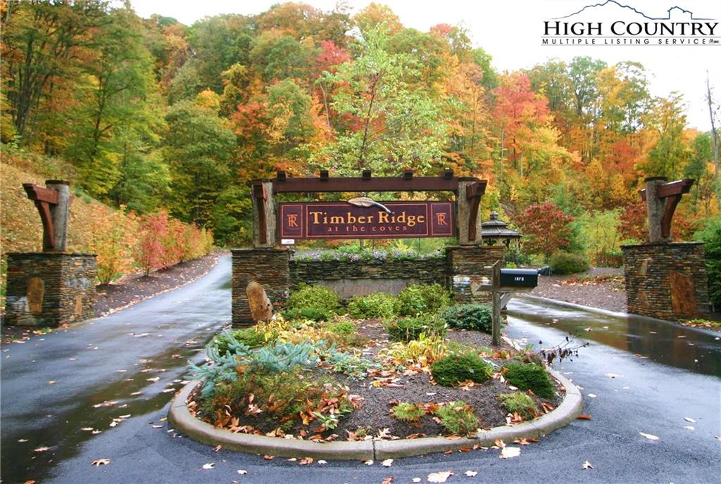 Image number 3 for the current listing