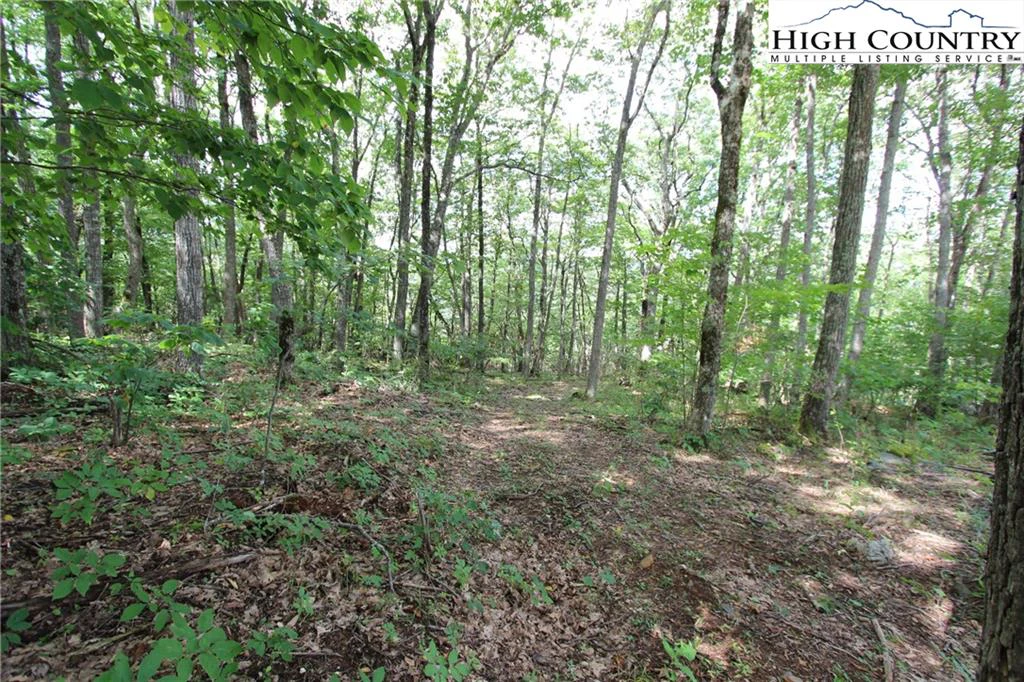 Image number 5 for the current listing