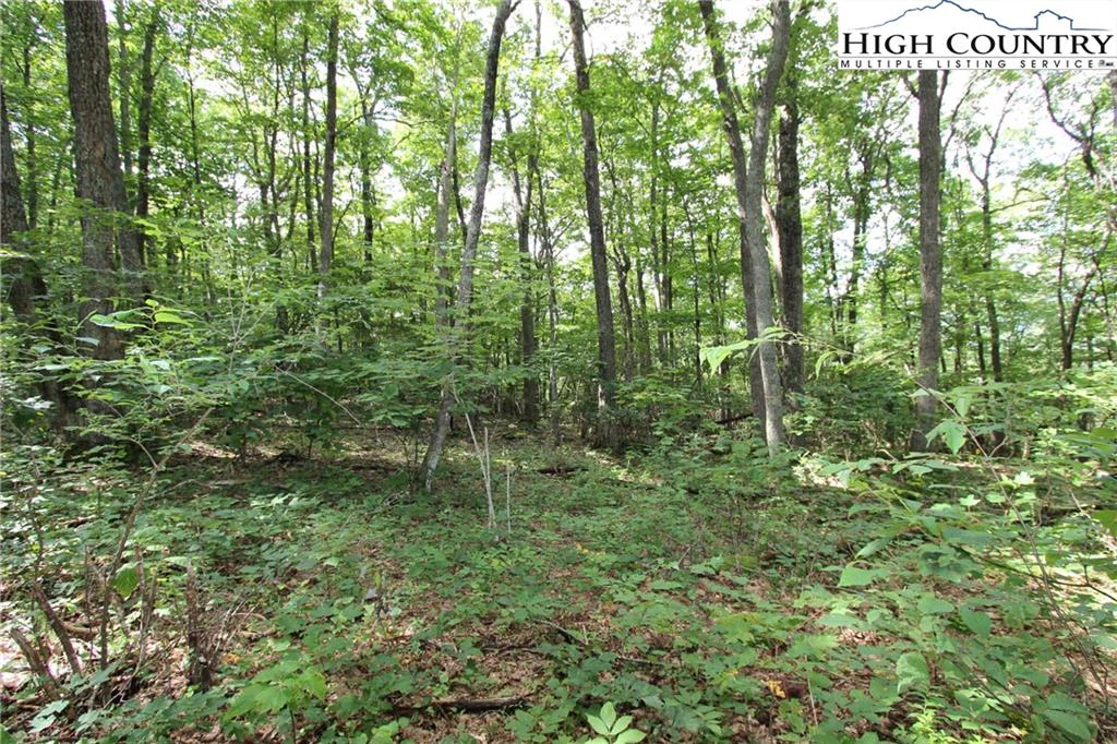Image number 7 for the current listing