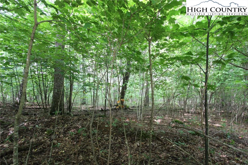 Image number 9 for the current listing