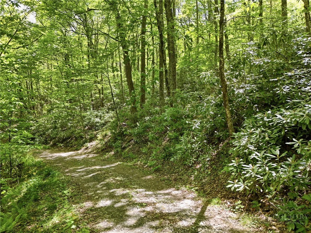 Image number 3 for the current listing